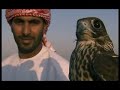 http://www.haute-voltige.com/news/home.html 
this clip is the trailer for the wings over al ain dvd which is available at the haute voltige e-shop https://secure.vector.ch/haute-voltige/e/shop_product_list.asp

the clip and music are subject to copyright. (c) haute voltige productions sa.