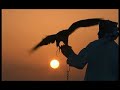 http://www.haute-voltige.com/news/home.html 
this clip is the trailer for the wings over al ain dvd which is available at the haute voltige e-shop https://secure.vector.ch/haute-voltige/e/shop_product_list.asp

the clip and music are subject to copyright. (c) haute voltige productions sa.