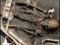 80 foot human skeleton