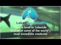 Cruise & Lakes Aquarium