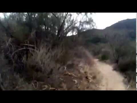 Topanga State Park 1 Mile Run