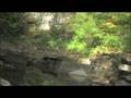 videos de The Six Mile Creek Zipline