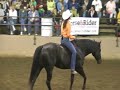 Stacy Westfall Clinic at Equine Affaire 4/11/08