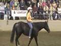 Stacy Westfall Clinic at Equine Affaire 4/11/08