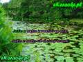 Jozin z bazin [karaoke]