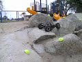 The Park