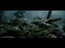 Saving Private =OF=scar! Saving Private =OF=scar!