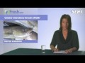 The eFresh.com Fish and Seafood Video News of 02-12-2009