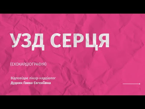 УЗИ сердца: все о диагностике