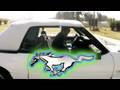 Day 290 - The Stang
