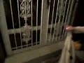 CIMG0263.MOV