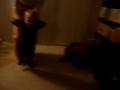 videos de P1020323.MOV