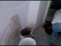 VID 00007-20091109-1026.3GP