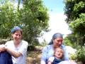 videos de picnic