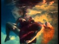Le Chant des Baleines