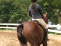 Canter (27-Oct-2007) with S41 Bravissimo
