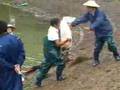 Matsunosuke Harvest 10/07
