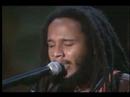natural mystic-ziggy marley-tributo bob marley