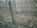 Tex's Archery Deer Season Bow hunting 08 treestand footage in marshal County Illinois