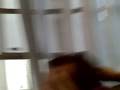 videos de on bosse très dur