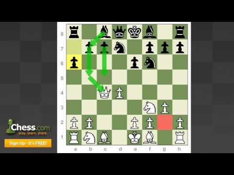 chess chess