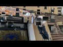 millennium_sharkas