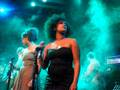 videos de STEF KAMIL CARLENS & THE GATES OF EDEN, CROSSING BORDER FESTIVAL