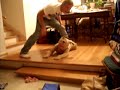 Spinning Brother