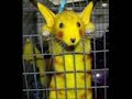 Descripcion Pokemon - Narrada por Loquendo