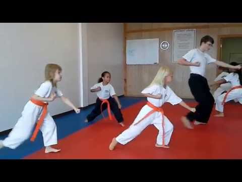 Hampton's Karate Academy - Basic Forms Instruction 01 