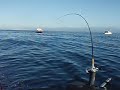 Sekiu Fishing
