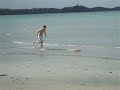 videos Surf