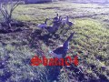 L3ALWA by Zahwani
