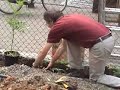 Guerillagardening in Borgerhout