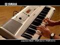 Joachim Wolf and the Yamaha PSR-E213 / PSR-E313