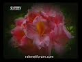 bana-seni-gerek-seni.html