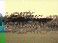 [R&J] - F.c.Wageningen