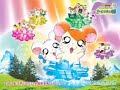 the hampster dance the hampster dance