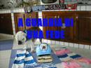 mastiff rind o cor mastiff rind o cor