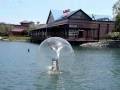 Water Walking Ball - Broadway at the Myrtle beach SC USA