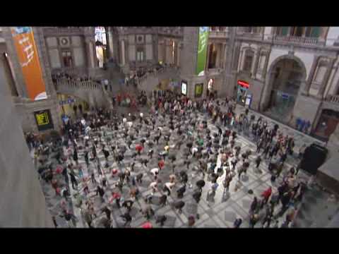 stunt maria final export