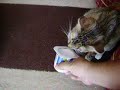 super-long-tongue-2.html