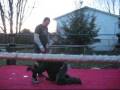 videos de Qiz vs Punisher