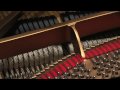 Malek Jandali: Piano Dream حلم البيانو: مالك جندلي