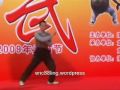 Fukien Kung Fu..wmv