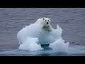 El destino del planeta está en manos de TODOS....En todo el mundo, las acciones del hombre han llegado al punto de poner en peligro de extinción a cientos de especies de todo tipo.Hasta hace algunos años la humanidad se planteó la explotación de la Naturaleza como si ésta fuese tan solo una fuente inagotable de recursos al servicio de un cuestionable modelo de bienestar. Hoy está claro que no es así, sólo cabe imaginar el futuro de la humanidad en armonía con los procesos naturales de la tierra. Y este mundo imaginado no puede ser posible sin un cambio de conciencia.Por miles de años la Tierra ha sido el hogar de miles de generaciones, y en la nuestra se está acabando poco a poco.Los fenómenos naturales, los deshielos de los glaciares, los tornados, las constantes lluvias, los cambios bruscos de clima, hacen parte del fin de la tierra.Cada habitante del planeta ejerce algún efecto negativo sobre el problema del calentamiento global. Hagamos una diferencia para protegernos a partir de ¡HOY! Después de la reunión de expertos de la ONU sobre Cambio Climático, se determinó que quedan 10 años para que entre todos podamos frenar la catástrofe ambiental y climática que se avecina.La responsabilidad NO es sólo de políticos y empresarios, así que lo que cada habitante de la Tierra haga para prevenir estos fenómenos es clave para salvar el planeta, nuestras vidas y las de nuestras futuras generaciones.Protege nuestro Planeta, todavía podemos modificar nuestros malos hábitos y ser sensibles a nuestro medio. Deja de postergar y ser egoísta, porque el beneficio es para ti, para mí, para todos: personas, animales, plantas, todo lo que tiene vida. Nuestras acciones para reducir el calentamiento global deben extenderse más allá de las reducciones de emisiones que hagamos de manera personal. Todos tenemos influencia en nuestras escuelas, centros de trabajo, empresas y sociedad de la forma en que hacemos compras, invertimos, tomamos acciones y votamos. Podemos extender nuestra influencia positiva sobre el problema calentamiento global más allá de casa persuadiendo de manera activa a otros a tomar acción. Contempla la ley de las 3 Erres: RECICLAR, REDUCIR el consumo innecesario e irresponsable y REUTILIZAR los bienes. Al recuperar cajas de cartón o envases contribuyes a que se talen menos árboles, encargados de capturar metano y de purificar el aire.Al reutilizar 100 kilogramos de papel se salva la vida de al menos 7 árboles. Usa papel reciclado y escribe por ambos lados y aprovecha el avance tecnológico usando correo-e. Protejamos el origen de la vidaNo tiremos basuras al mar y a los ríos.Cuidemos nuestra tierraUsar pesticidas químicos y tirar basura al desagüe contamina los ríos que riegan nuestra tierra.No contaminemos el aireEvitemos los ambientadores elaborados con productos químicos.Ahorra Energía EléctricaApaga las luces. Utiliza bombillas de bajo consumo. Evita utilizar electrodomésticos y energía innecesariamente. Usa menos el aire acondiciando, los calentadores eléctricos y la calefacción Desconecta los aparatos eléctricos y los electrodomésticos. Aprovechar la luz naturalUtiliza Menos AguaAhorra agua siempre que puedas. Siempre que puedas, recolecta y reutiliza el agua. Mantén cerrado el grifo mientras no necesites el agua que sale para no desperdiciarla...Recicla tu basura y todo lo que puedas. Separa la basura. Compra productos reciclados. Evita usar recipientes de aluminio y de plástico. Genera menos desperdiciosUtiliza pilas recargables. Evita usar productos desechables. Si tienes que comprar botellas desechables, compra botellas más grandes Evitar utilizar bolsas de plástico cuando puedas utilizar otras.CUIDEMOS EL PLANETA  SALVEMOS LA TIERRALa Tierra es el planeta en el que vivimos, donde está nuestra casa, nuestra familia y todo lo que queremos, por ello, debemos colaborar para poder evitar su destrucción.