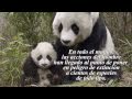 EL DESTINO DEL PLNETA ESTÁ EN MANOS DE TODOS