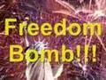 Freedom Bomb - Original Music Video (Best LOUD)