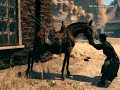 uservideo