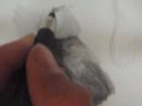 drawing a portrait